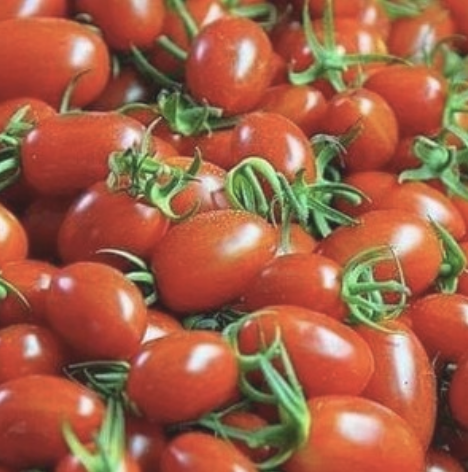 水哥玫瑰番茄一盒